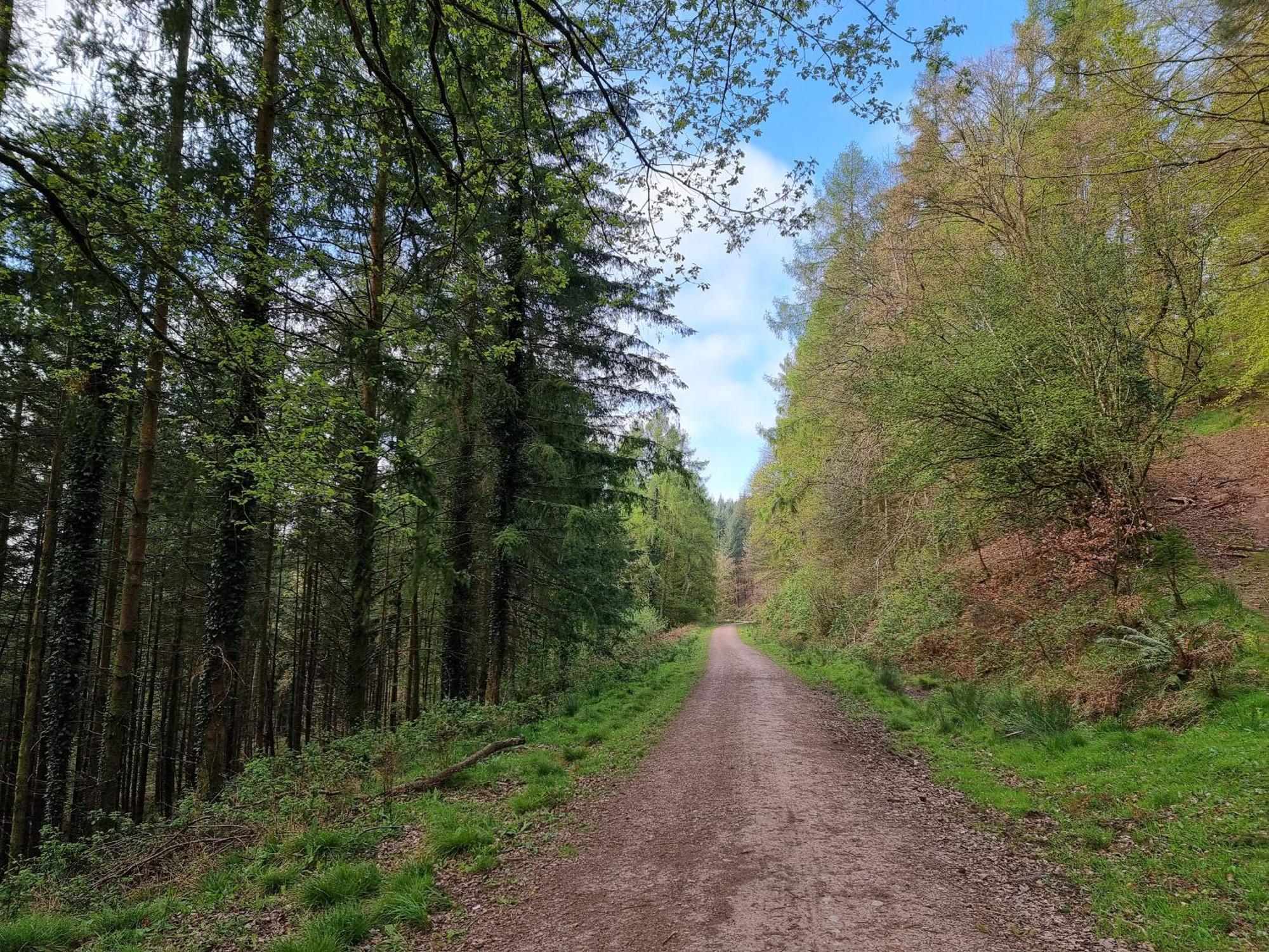 Danby Lodge Lydney Buitenkant foto